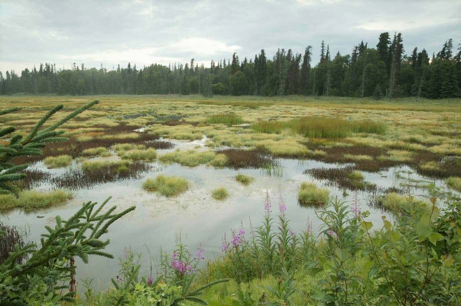 Wetland Creation Dredging