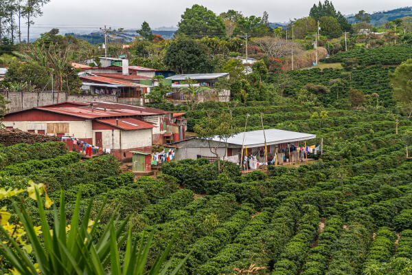 Pumping & dredging project consultation in Alajuela