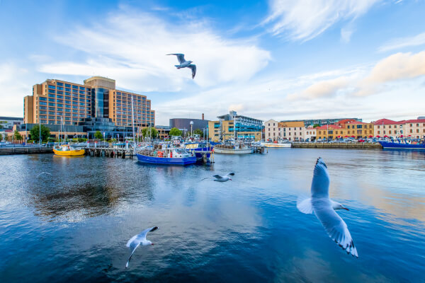 Pumping & dredging project consultation in Hobart