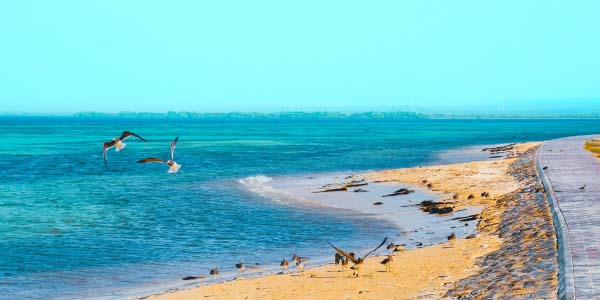 Jizan-pumping-dredging-consultants Jizan-pumping-dredging-consultants