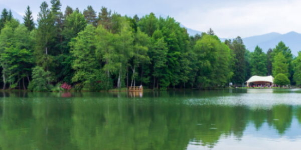 Kranj-dredge-equipment-sales-and-rental