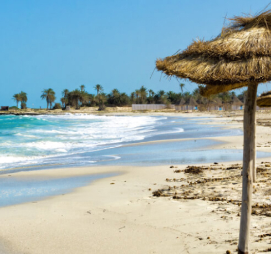 Djerba-pumping-dredging-consultants Djerba-pumping-dredging-consultants