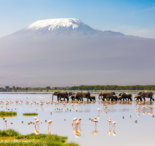 Kilimanjaro-pumping-dredging-consultants