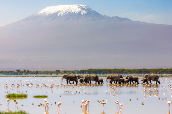 Pumping-dredging-project-consultation-in-Kilimanjaro Pumping-dredging-project-consultation-in-Kilimanjaro