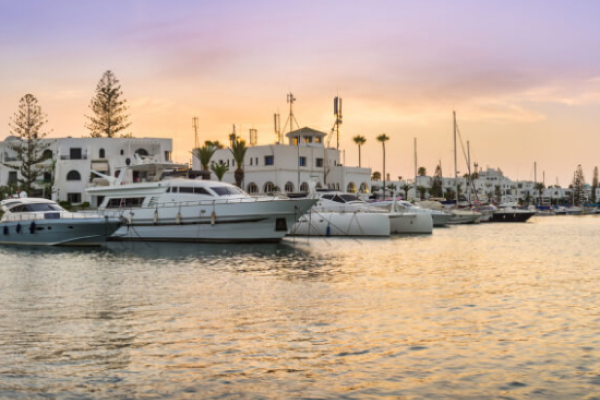 Pumping-dredging-project-consultation-in-Tunis