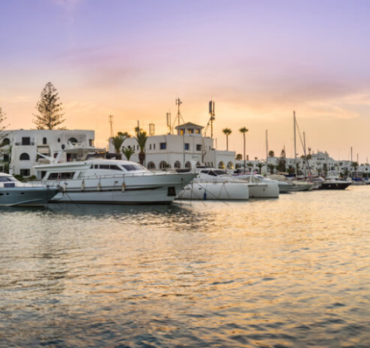 Tunis-pumping-dredging-consultants Tunis-pumping-dredging-consultants
