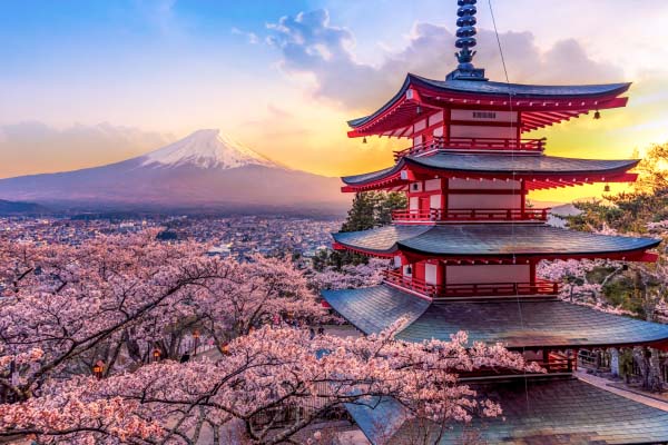 Pumping & dredging consultants in Japan