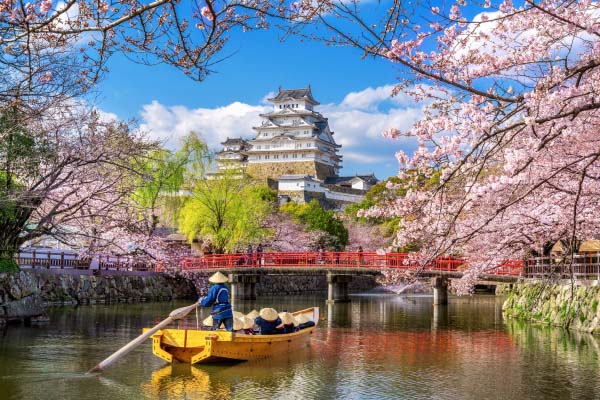 Pumping & dredging project consultation in Osaka