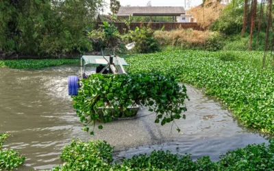 How to Choose the Best Pond Dredging Equipment: Size, Depth, Sediment Type & Budget Considerations