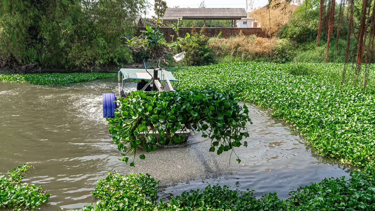 How-to-Choose-the-Best-Pond-Dredging-Equipment-Size-Depth,-Sediment-Type-&-Budget-Considerations